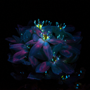 免费高清码🔞❌♋裸身网站
